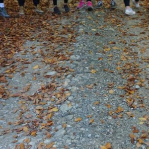 Bukowe liście i buty uczniów