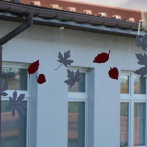 Białoczerwone liście w szkolnych oknach