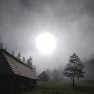 Słońce we mgłach